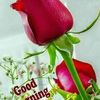 sakep.khan