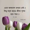 user99808160180694