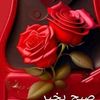 user11657743205928