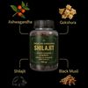 SHILAJIT CO GOMITAS