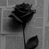 seynabou.sylla45