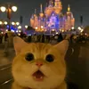 haw.haohao