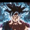 yossef.mohammed809