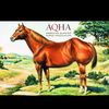 altering aqha