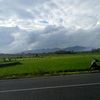 joniyudiansyah