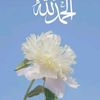 najlaaadwan7