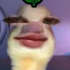 nuanatnualanh4