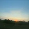 absolutlemon