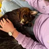marleni_240