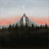 leakingmemories