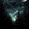 thisismynickname28