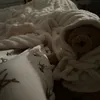 .lilysecretspamm