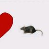 valenn.priv6