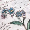 forgetmenot_0901