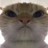uis6.7