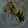 nesieslonkrotciv