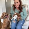 cavapoopuppy1