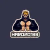 hard20133