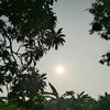 thesunhasset4