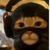 goofyvr5775