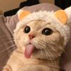 mrtrisfa097