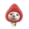 kimngandethuongg11