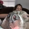 _doggy.tok._