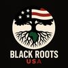 blkrootsusa1