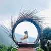 dhientt