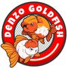 denzogoldfish