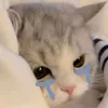muniuoi_12