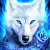 sameerseef367