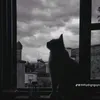 ngcboanh8