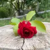 khalida.zebari