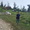 simsanpun0