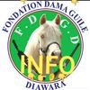 mahamadou.diawara359