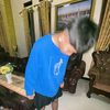 alippp533