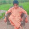 user3861304133441