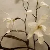 norasofia.d_11