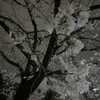 leethink05