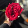 najwa_vlog1