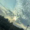 manoncr9