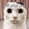 doha.fadli