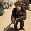 عبدو _ AI