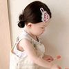 ayna_ruby