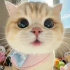 88.blinkblink