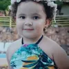 joeldossantos2533