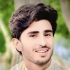 wajid.halimi