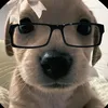 sara_xddd8