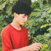 user55908028860394